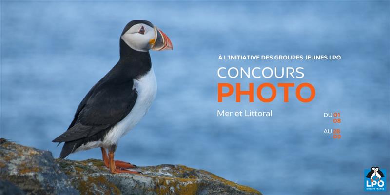 Objectif littoral : Le concours Photo Mer & Littoral organisé par les Groupes jeunes LPO